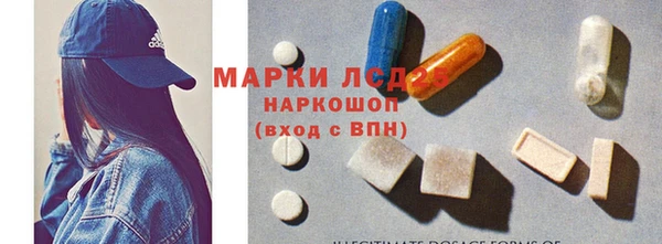 кокс Елизово