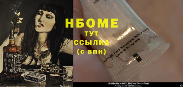 дживик Ельня