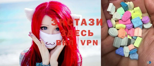 дживик Ельня