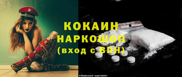 дживик Ельня