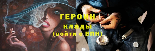 дживик Ельня