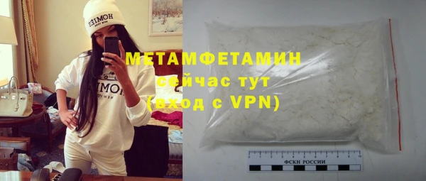 дживик Ельня