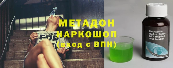 дживик Ельня