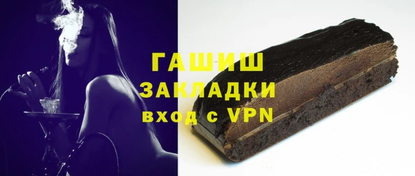 дживик Ельня