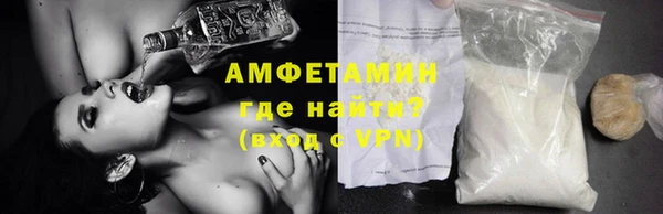 дживик Ельня