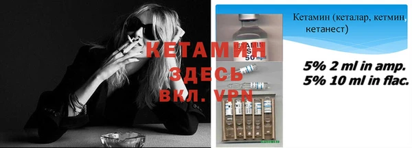 дживик Ельня