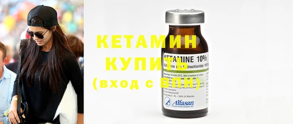 дживик Ельня