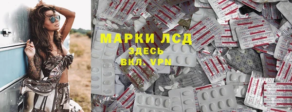 кокс Елизово
