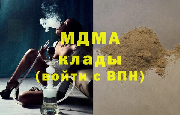 дживик Ельня