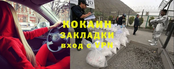 кокс Елизово