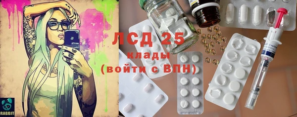 дживик Ельня