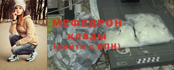 дживик Ельня