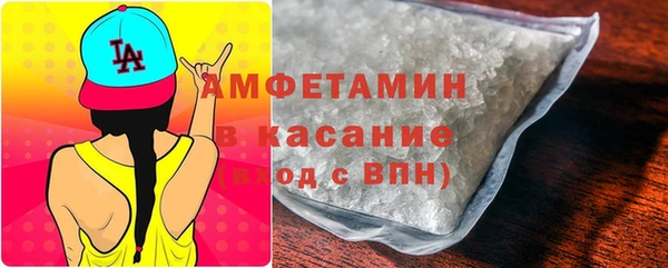 дживик Ельня