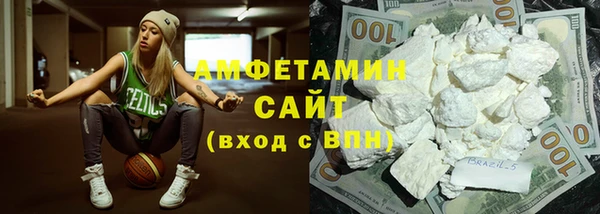 дживик Ельня