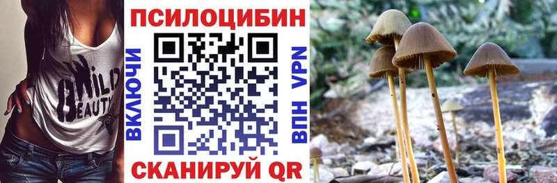 Купить закладки  Болгар  Псилоцибиновые грибы MAGIC MUSHROOMS 
